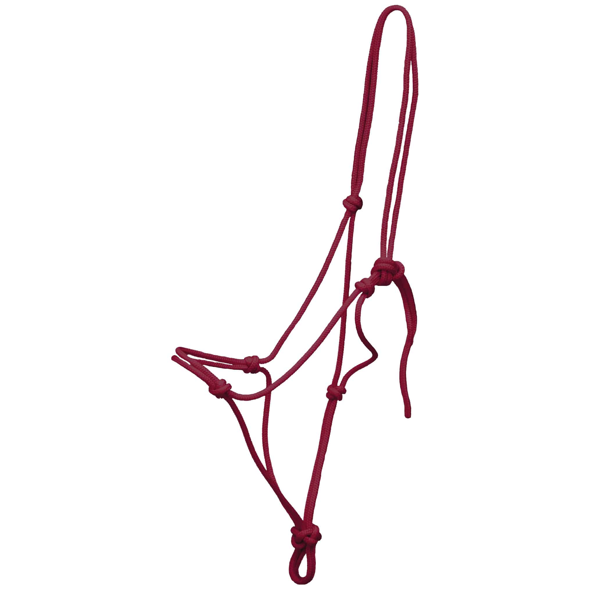 CabezadaCuerdaBrockampBurdeos_1024x1024@2x