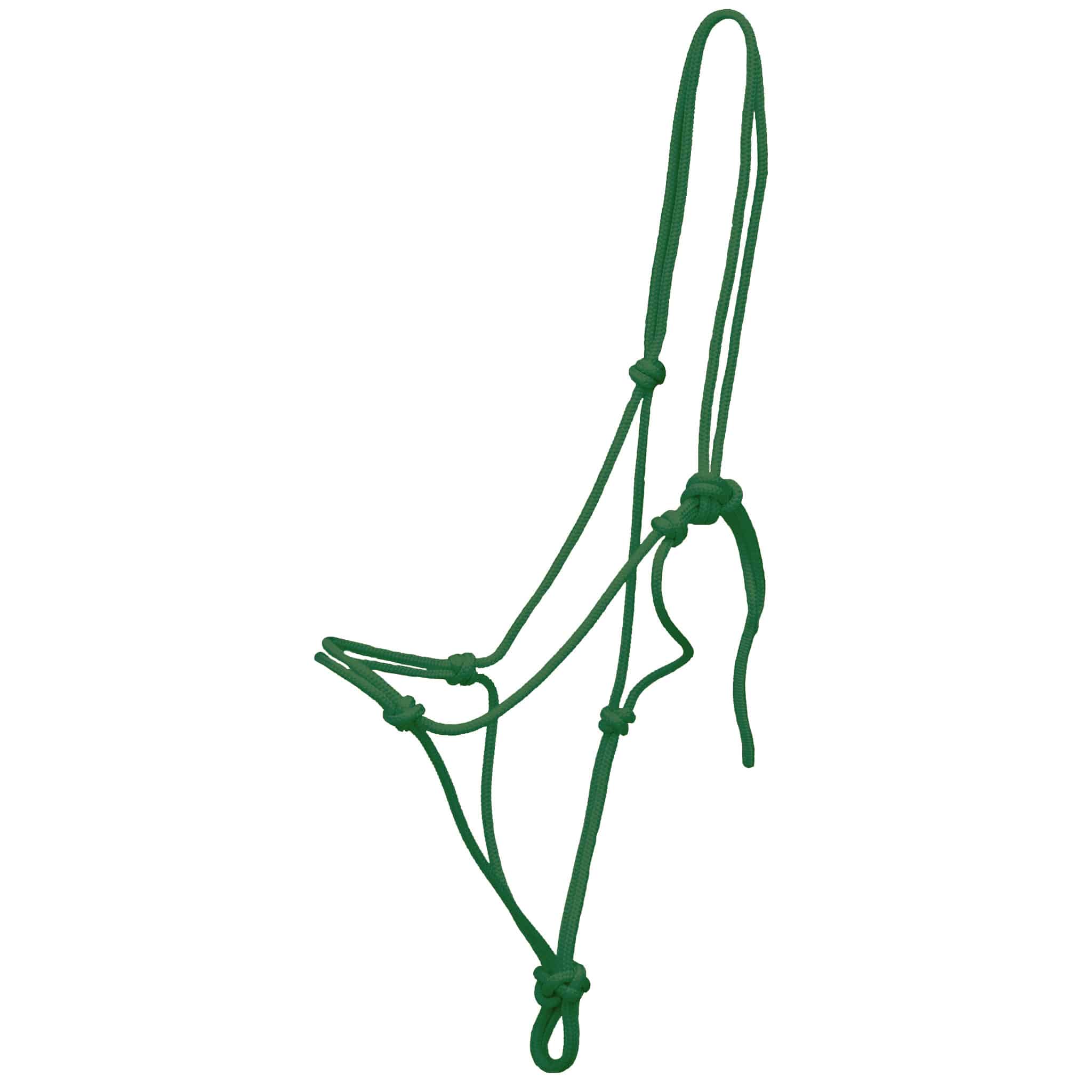 BridleRopeBrockampGreenBottle_1024x1024@2x