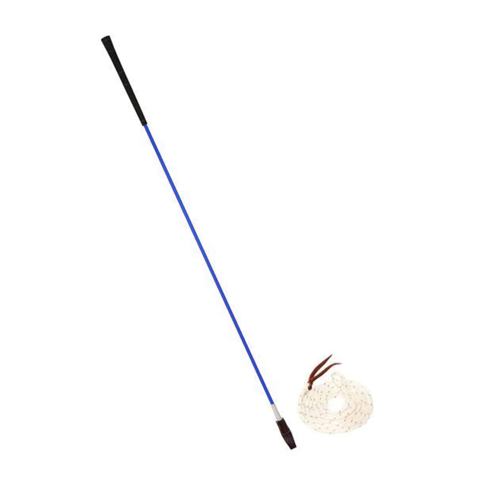 CarrotStickAzul_1024x1024@2x