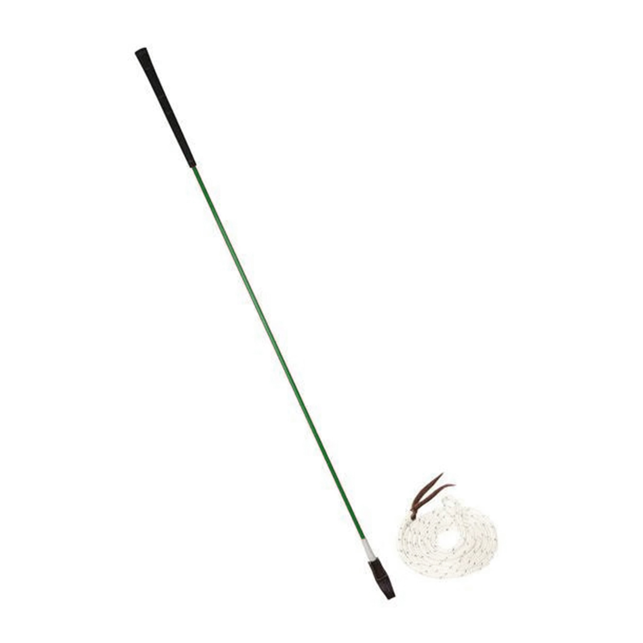 CarrotStickVerde_1024x1024@2x