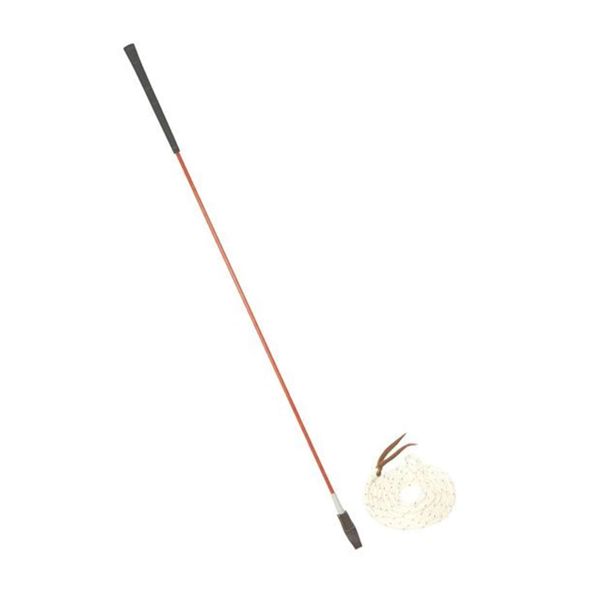 CarrotStick_Naranja_1024x1024@2x