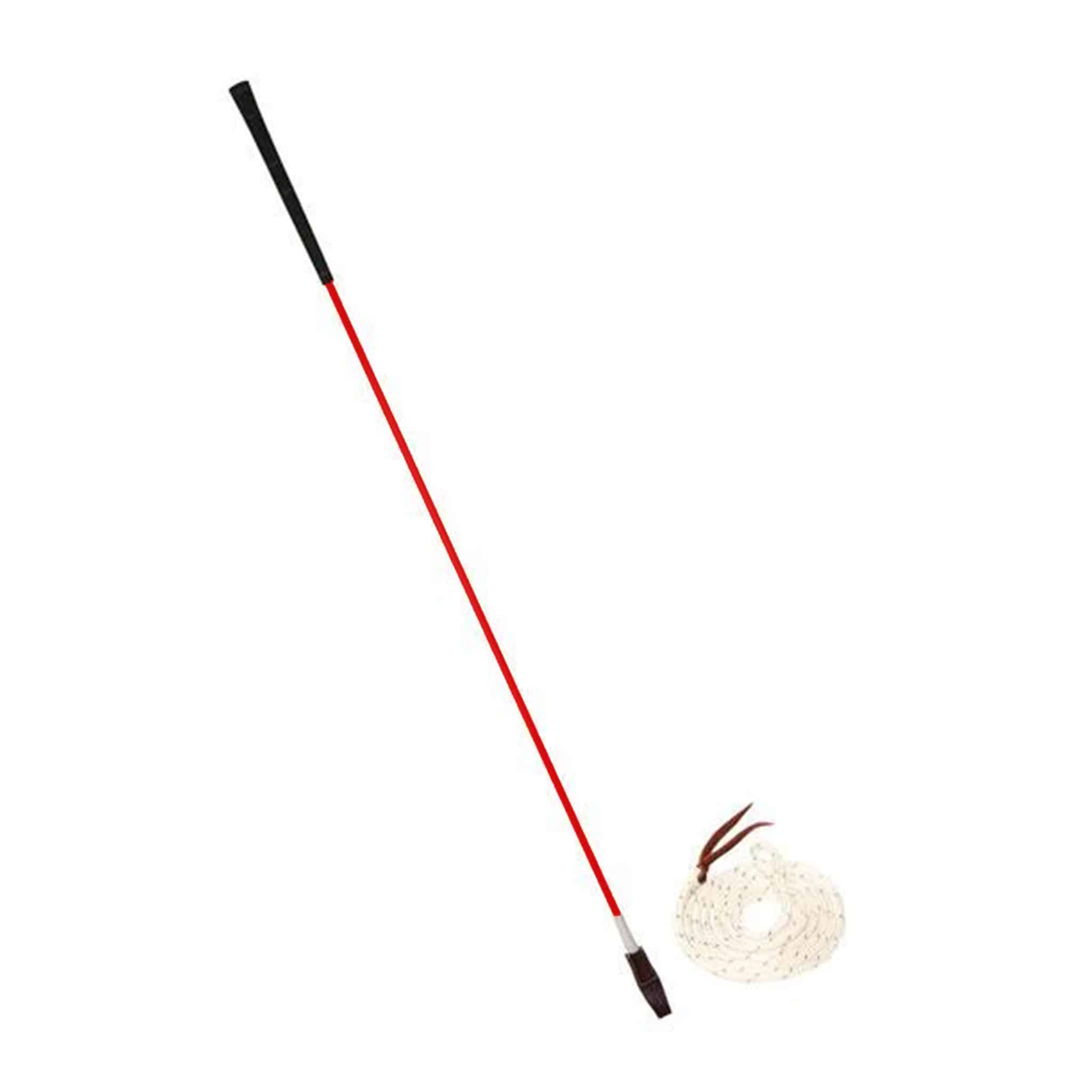 CarrotStick_Rojo1024x1024@2x